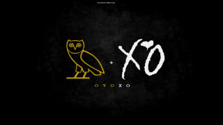 Black background owl ox yellow - chinwe chukwuogoroy free wallpaper