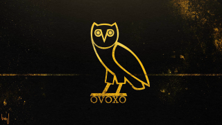 Yellow owl black surface ovoxo - chinwe chukwuogoroy free wallpaper