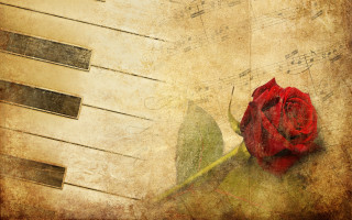 Red rose piano keyboard music - claude rogers free wallpaper
