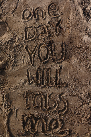 Sand message dog cat one - the sand free wallpaper