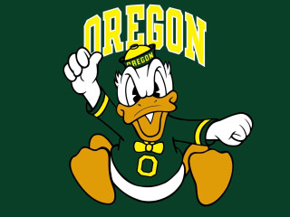 Cartoon duck hat green shirt - a cartoon duck free wallpaper