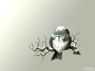Bird glasses branch snow snowflakes 2 - gray background free wallpaper