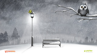 Bird tree branch snow bench - winter free wallpaper