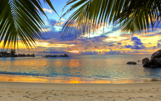 Beach palm sunset rocks gradient - beautiful free wallpaper for desktop