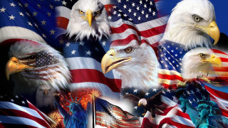 Bald eagles american flags blue - a blue sky background free wallpaper