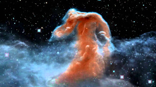 Horse head stars cloud black - a matte painting free wallpaper