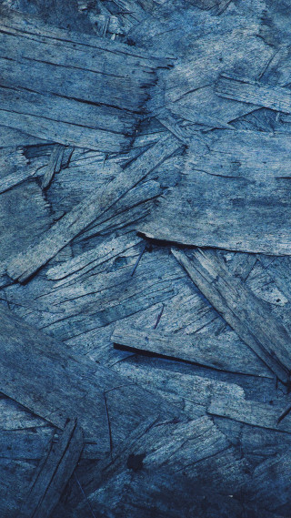 Blue surface bird back black - primitivism free wallpaper