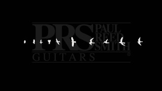 Paul reed smith guitar birds - david imms free wallpaper