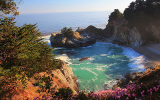 Beach cliff water trees flowers - beautiful scenery free wallpaper for desktop