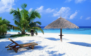 Beach palm umbrella bench sand - a wooden bench free wallpaper