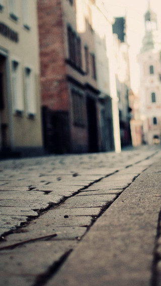 Small dog walking brick street - florianne becker free wallpaper