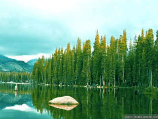 Lake mountain forest bush water - a large rock in the middle of it free wallpaper