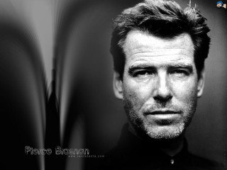 Man beard black shirt serious 19 - bedwyr williams free wallpaper