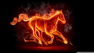 Horse running fire field flames - a fire free wallpaper