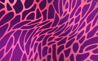 Purple pink background lines curves 2 - a pattern of lines free wallpaper