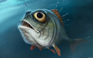 Big mouth toothy smile fish - a fish free wallpaper