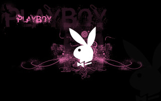 Rabbit standing dark pink background - the dark free wallpaper