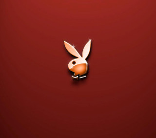 Rabbit red background white head - computer art free wallpaper