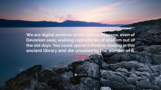 Quote ocean sunset mountain pink - a sunset in the background and a mountain in the distance free wallpaper