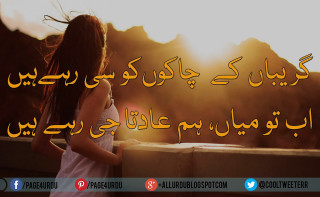 Girl sunset quote standing in - a sunset free wallpaper