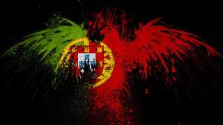 Grungy flag bird back front - a grungy flag free wallpaper