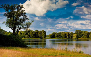 Lake trees grass cloudy sky 3 - under free wallpaper for desktop
