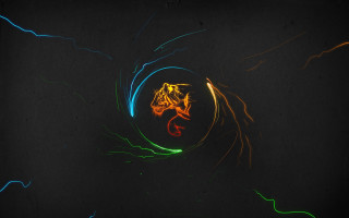 Colorful light painting dragon dark - arcane free wallpaper