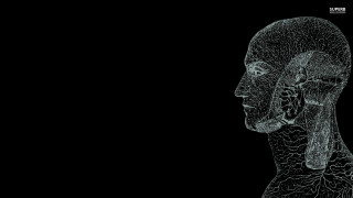 Black white brainmap human head - cybernetic free wallpaper