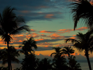 Sunset palm trees ocean clouds 2 - a sunset free wallpaper