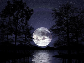 Full moon lake woods night - over a lake free wallpaper