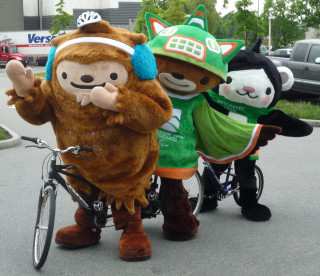 Costumed people bike street cat - costume free wallpaper