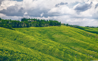 Lush green hillside house trees - a matte painting free wallpaper