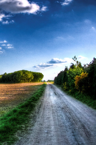 Dirt road field trees blue - beautiful landscape free wallpaper