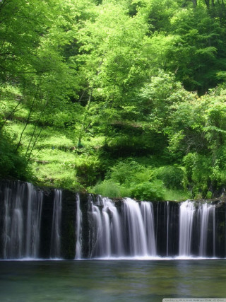 Waterfall forest lush hillside stream - the middle of the forest free wallpaper