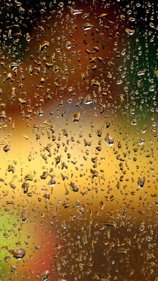 Rainy window leaf autumn forest - green free wallpaper