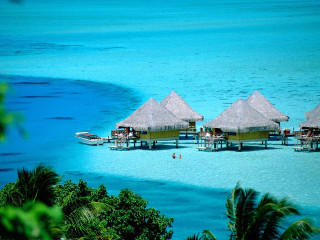Beach boat huts ocean trees - daren bader free wallpaper