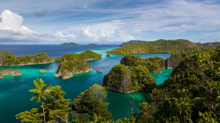 Islands trees water ocean blue - tree and water free wallpaper