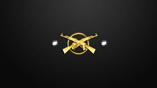 Gold gun two stars black - the bottom of the image free wallpaper