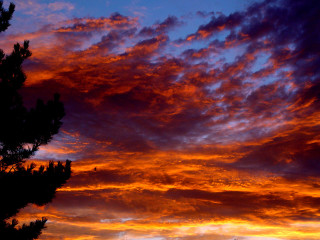 Sunset red sky clouds tree - colorful cloud free wallpaper