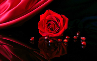 Red rose black surface red - rose free wallpaper