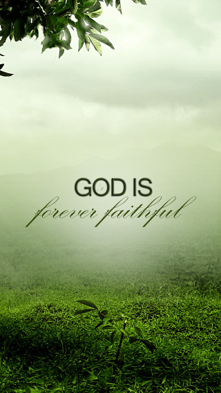 Green field tree background god - the picture free wallpaper