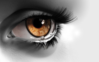 Eye long lashes brown black - realistic eye free wallpaper