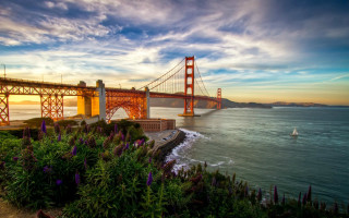 Bridge water beach flowers ocean - the water near a beach free wallpaper