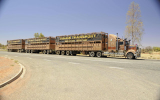 Truck trailer cattle desert road - a road in the desert free wallpaper
