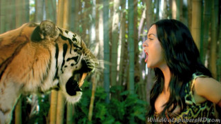 Woman tiger forest mouth open - adam willaerts free wallpaper