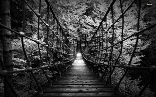Suspension bridge woods light dark - the end of it free wallpaper