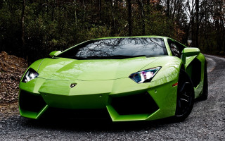 Green sports car woods night - a green sports car free wallpaper