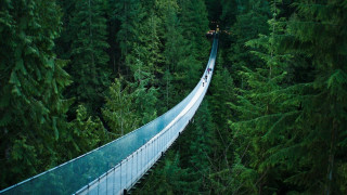Suspension bridge forest car truck - american romanticism free wallpaper for desktop