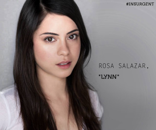Woman long hair white shirt 14 - anne ryan free wallpaper