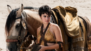 Woman bikini horse beach saddle - ada gladys killins free wallpaper